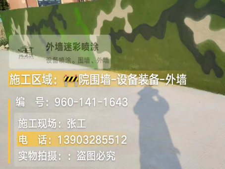 大庆 迷彩漆喷涂价格（按平方米计费）